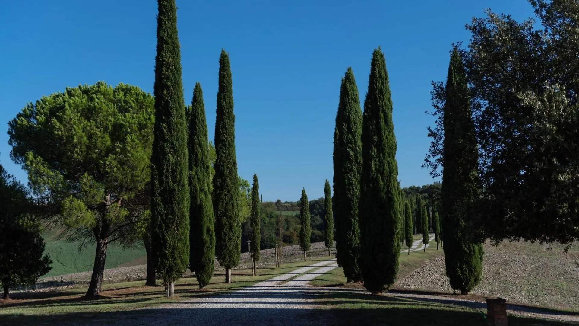 Vila Country House In Tuscan Hills Siena Itálie