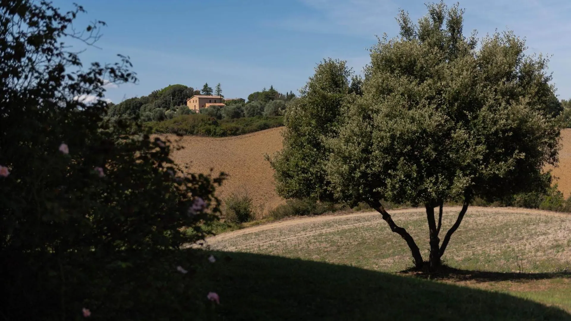 Country House In Tuscan Hills Siena Villa